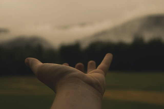 Hand / © Foundry/pixabay.com Hand