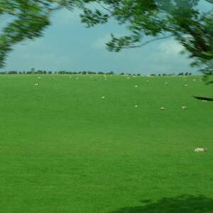 Irlandreise