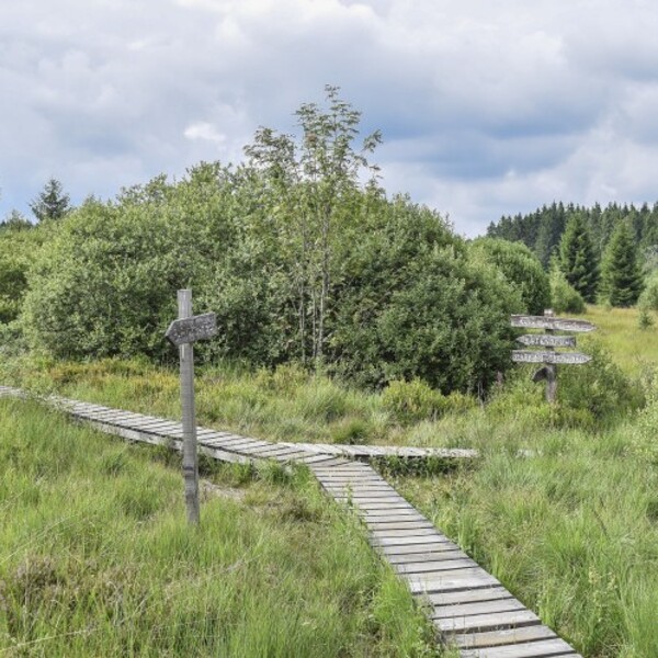 Weggabelung / 652234, pixabay Neue Wege gehen