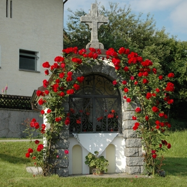 © Pfarrgemeinde Kopfing