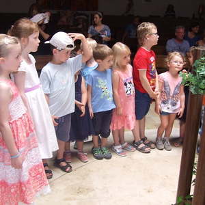 Kindersegnung