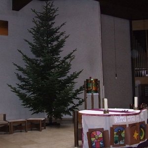 Unser Christbaum