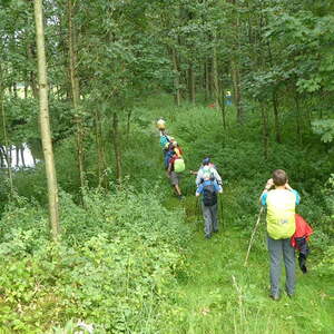 Ökum. Pilgerwanderung / Dekanat Eferding Ökum. Pilgerwanderung