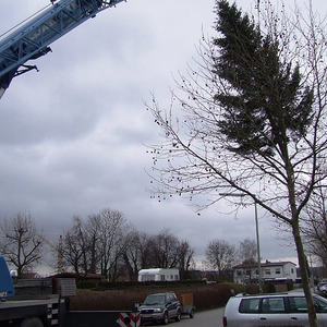 Unser Christbaum