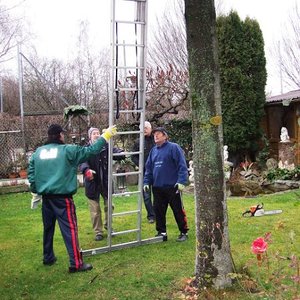 Unser Christbaum