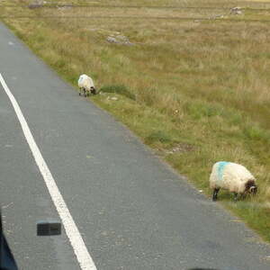 Irlandreise