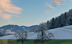 Jahresbericht 2016 TelefonSeelsorge Vorarlberg