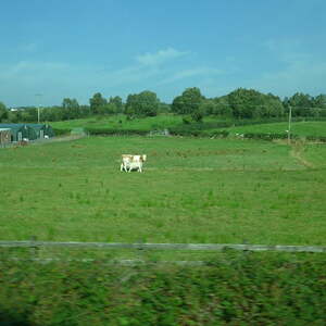 Irlandreise
