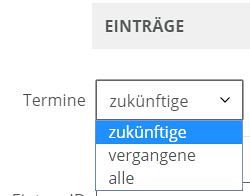 Widget Kalender Liste Einträge zukünftig