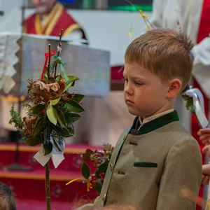 Palmsonntag Pfarre Kirchdorf an der Krems