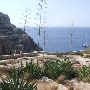 Malta