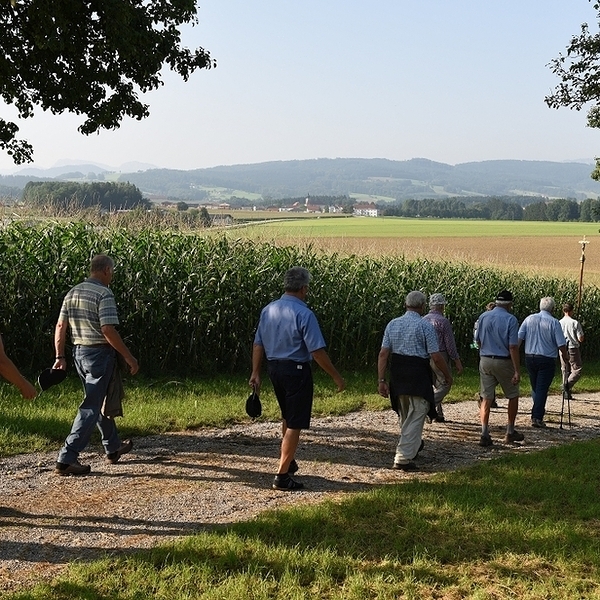 Die Wallfahrt heute / © Pfarrgemeinde Adlwang Die Wallfahrt heute