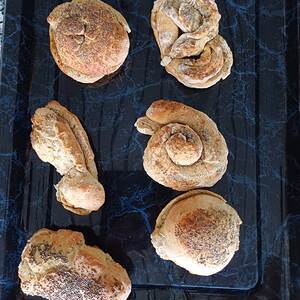 Brotbacken