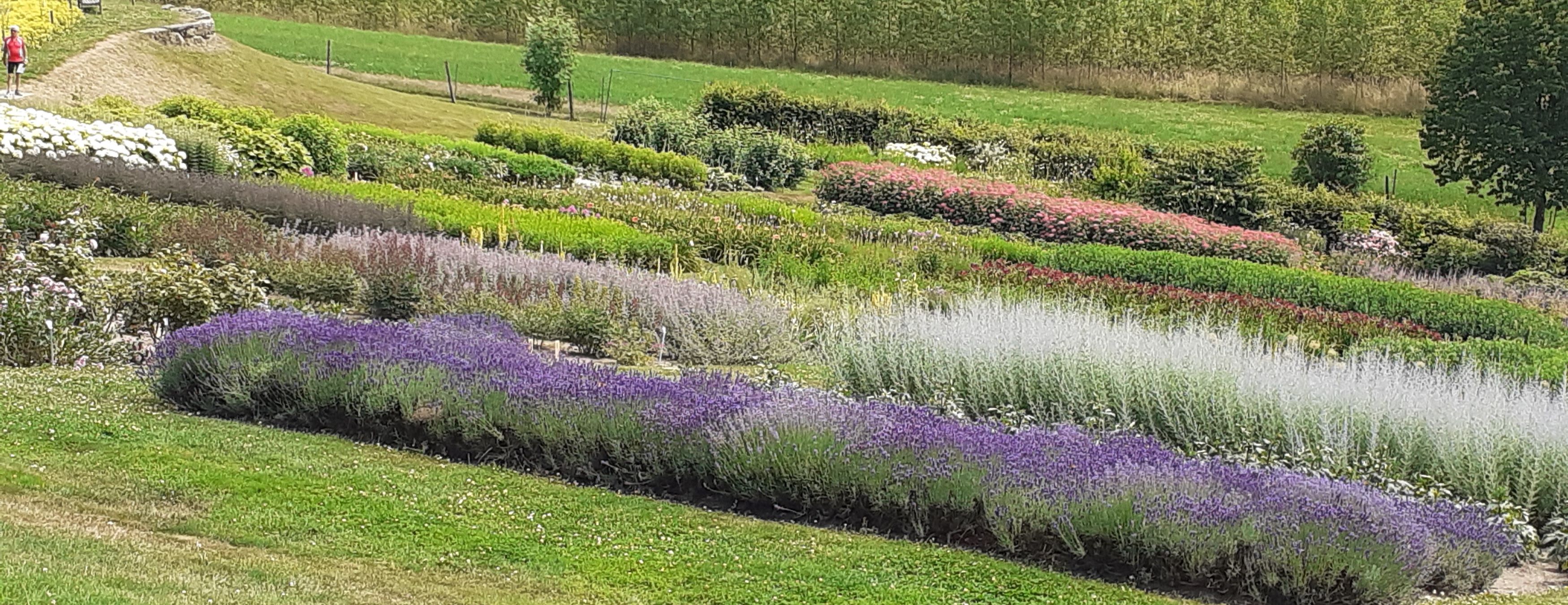 Garten der Geheimnisse