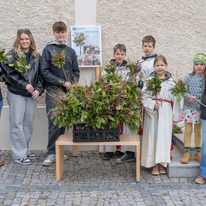 Palmsonntag Pfarre Kirchdorf an der KremsKath. Jungschar bot selbst gebundene Palmbuschen an, der Erlös ist fürs Jungscharlager