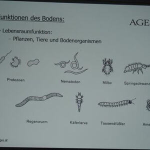Vortrag von DI Dr. Hans-Peter Haslmayr