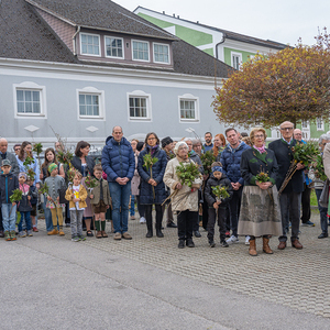 Palmsonntag Pfarre Kirchdorf an der Krems