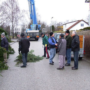 Unser Christbaum